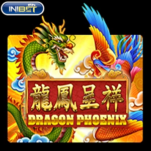 dragon phoenix